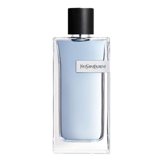 YVES SAINT LAURENT Y